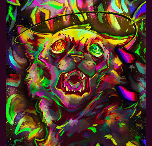 Morel Sees Behind Heaven
